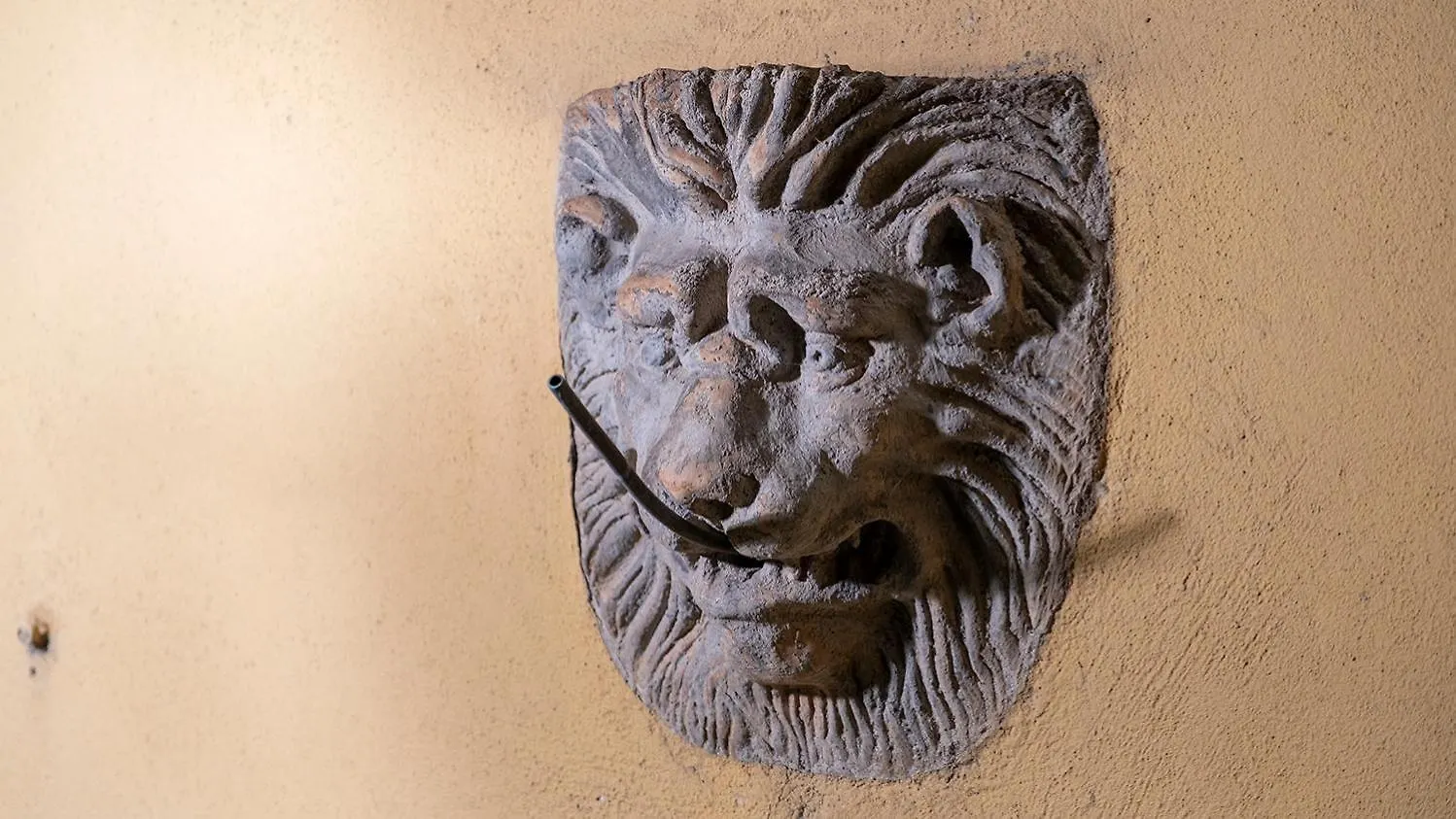House Of Magic - Due Torri Apartment Bologna